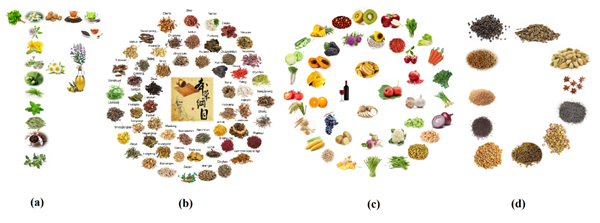 44b5e2dd524f4fa1b827349d2a6092d5.png Figure The presence of melatonin in plant-derived food_副本.png