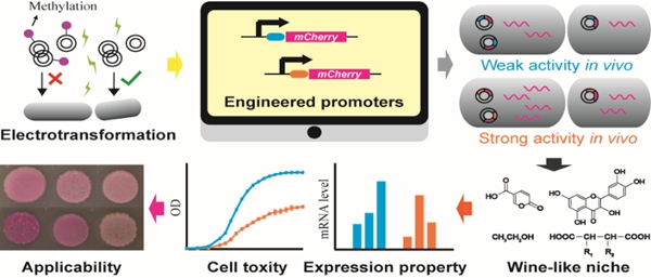67155b3b8b8646db8c4bc552534c478c.jpg 222.jpg