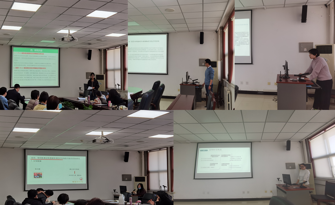 1a01d88bc5a54cbdac333990b73a25b3.png 1a01d88bc5a54cbdac333990b73a25b3.png