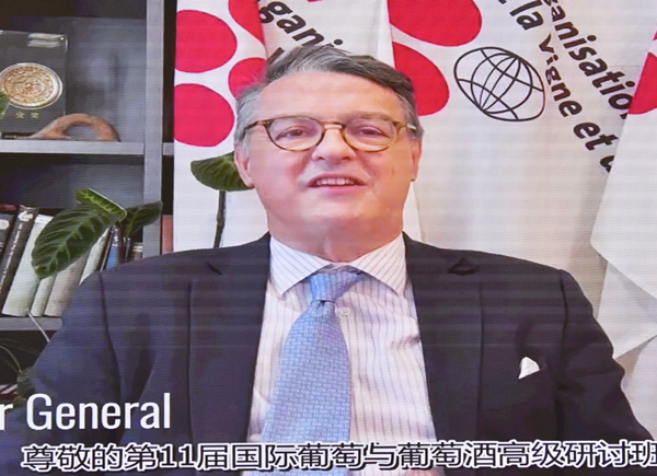 07614c605290420695e0515db181dee2.jpg 2.jpg