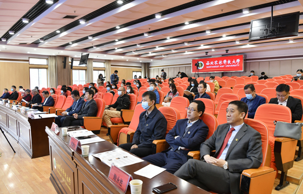 60676c4c259d4dc29358803a4ba968cc.jpg 5.jpg