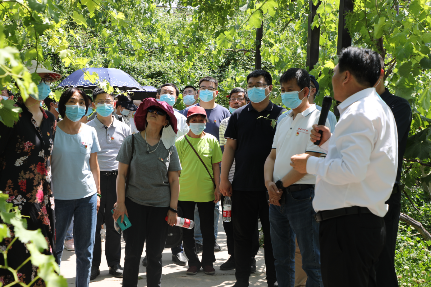 642765dc718d4c97bb9673e1a38af8da.png 642765dc718d4c97bb9673e1a38af8da.png